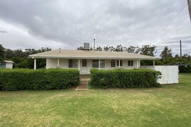 21 Houses for Rent in Griffith, NSW, 2680 | Domain