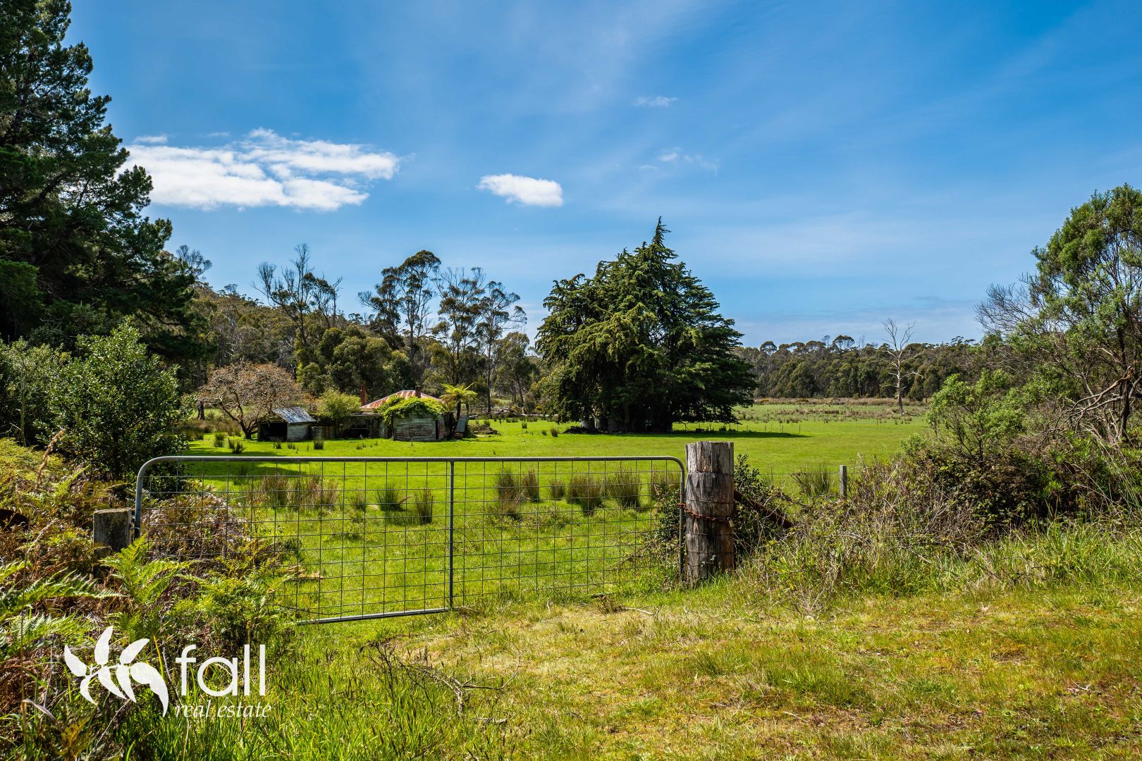 Lot 1, 3434 Bruny Island Main Road, Simpsons Bay TAS 7150, Image 2