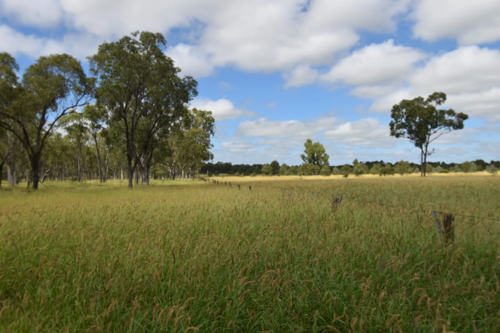 Additional image 13 of 5074 Alpha Tambo Road, Alpha QLD 4724