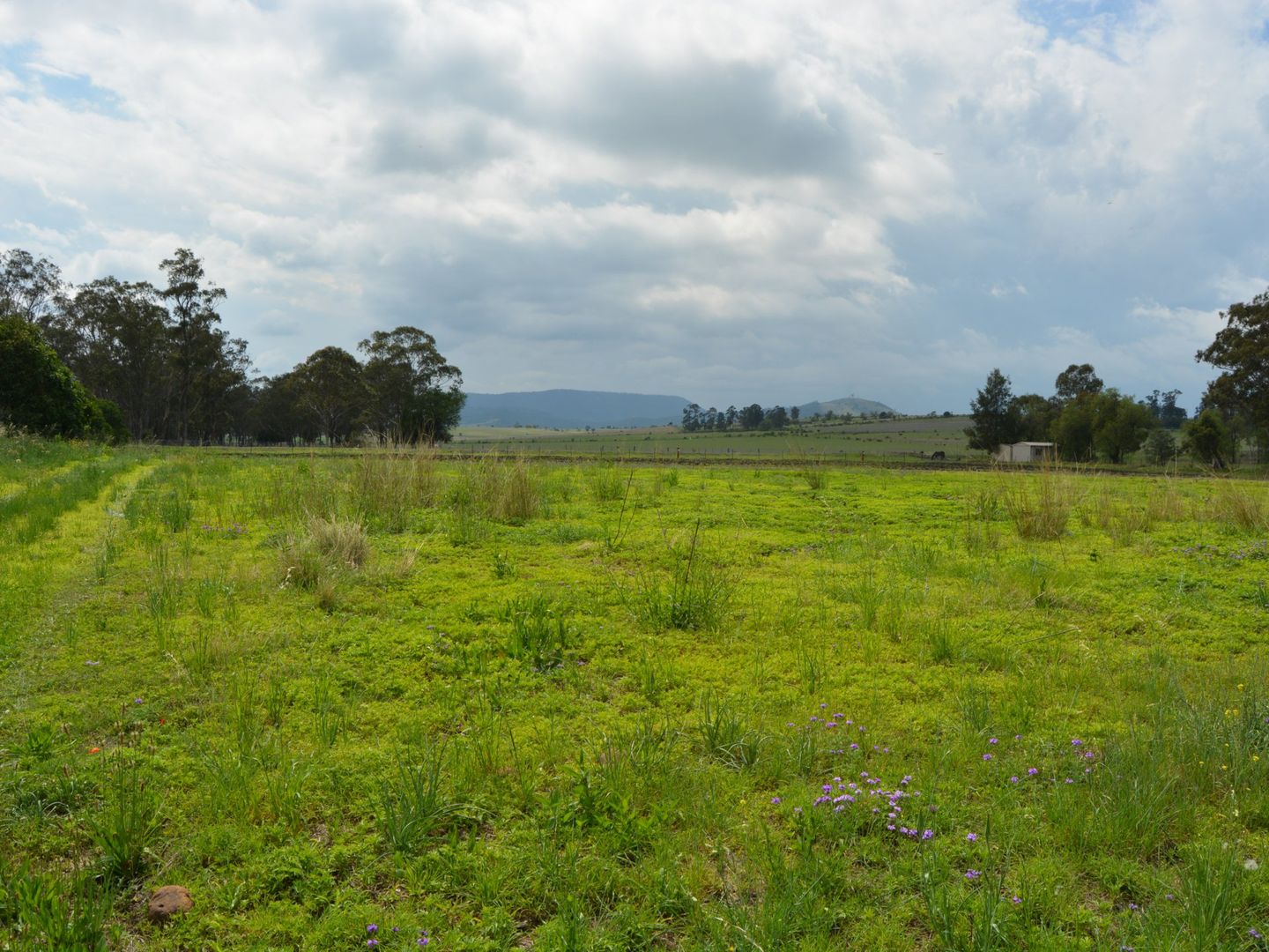 Lot 9 Oak Street, Tannymorel QLD 4372, Image 1