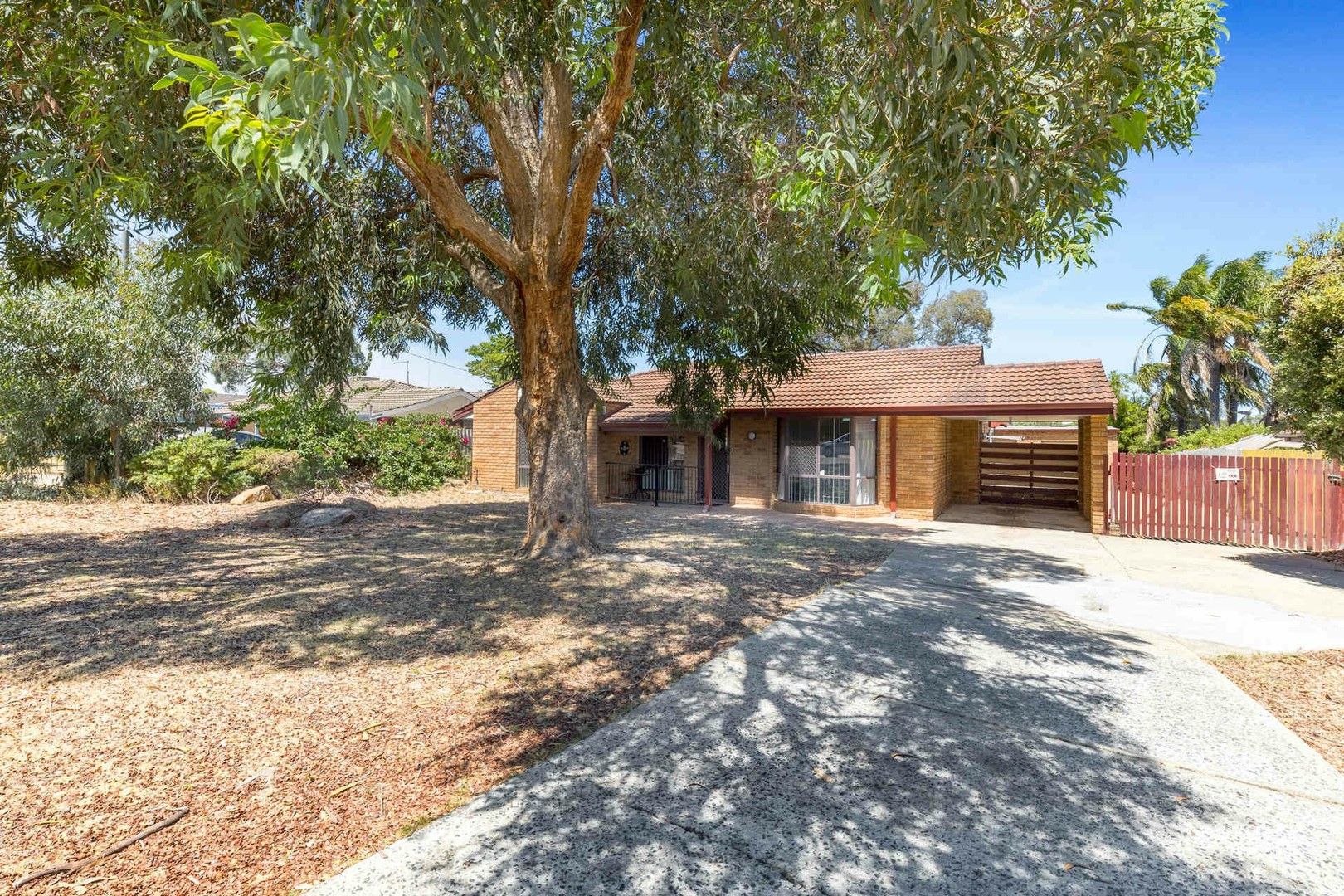 3 bedrooms House in 10 Grassbird Loop YANGEBUP WA, 6164
