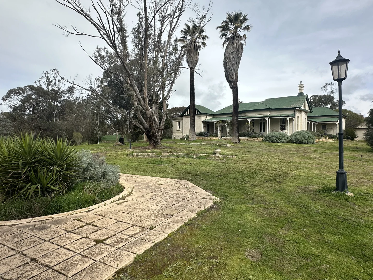 Image 5