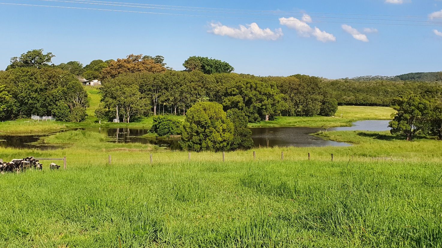 Mcleans Ridges NSW 2480, Image 0