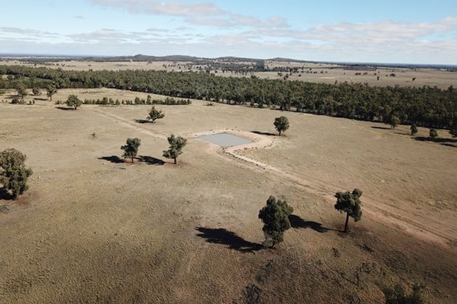 Picture of 'Euri Euri' 7630 Newell Hwy, TOMINGLEY NSW 2869