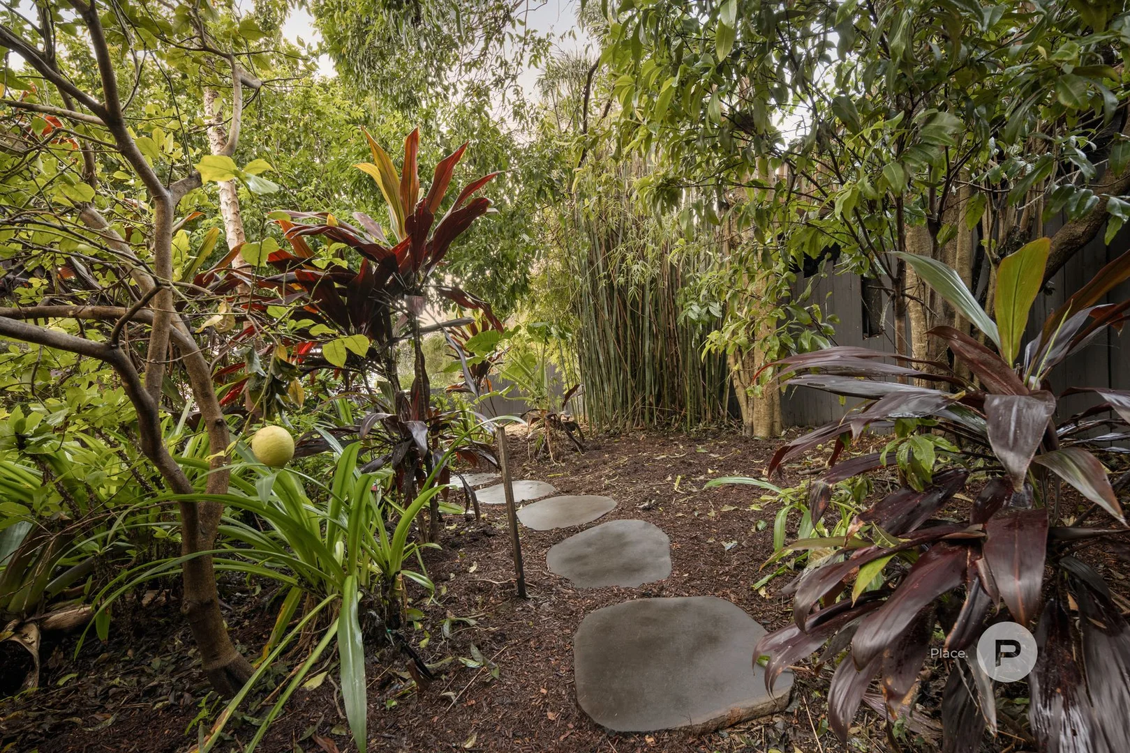 Image 11
