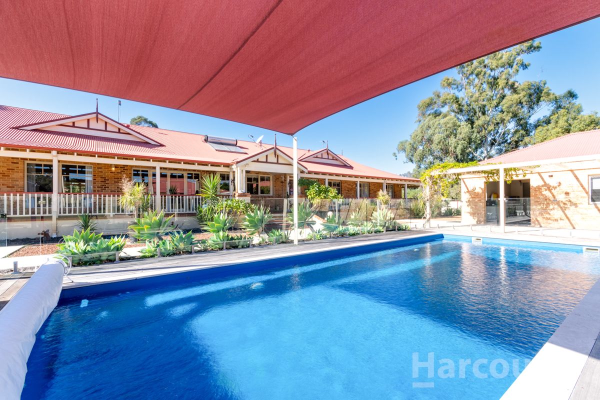 43 Pennygum Place, Mariginiup WA 6078, Image 0