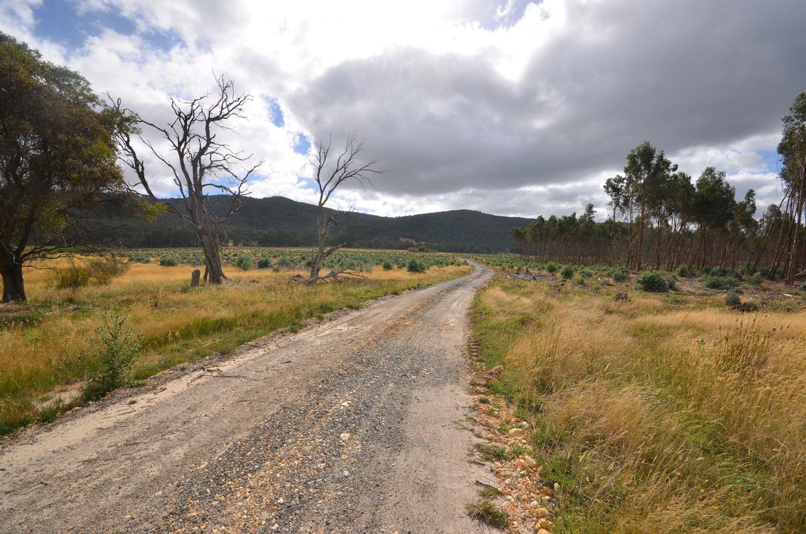 "Jarman" Raglan - Elmhurst Road, Raglan VIC 3373, Image 0