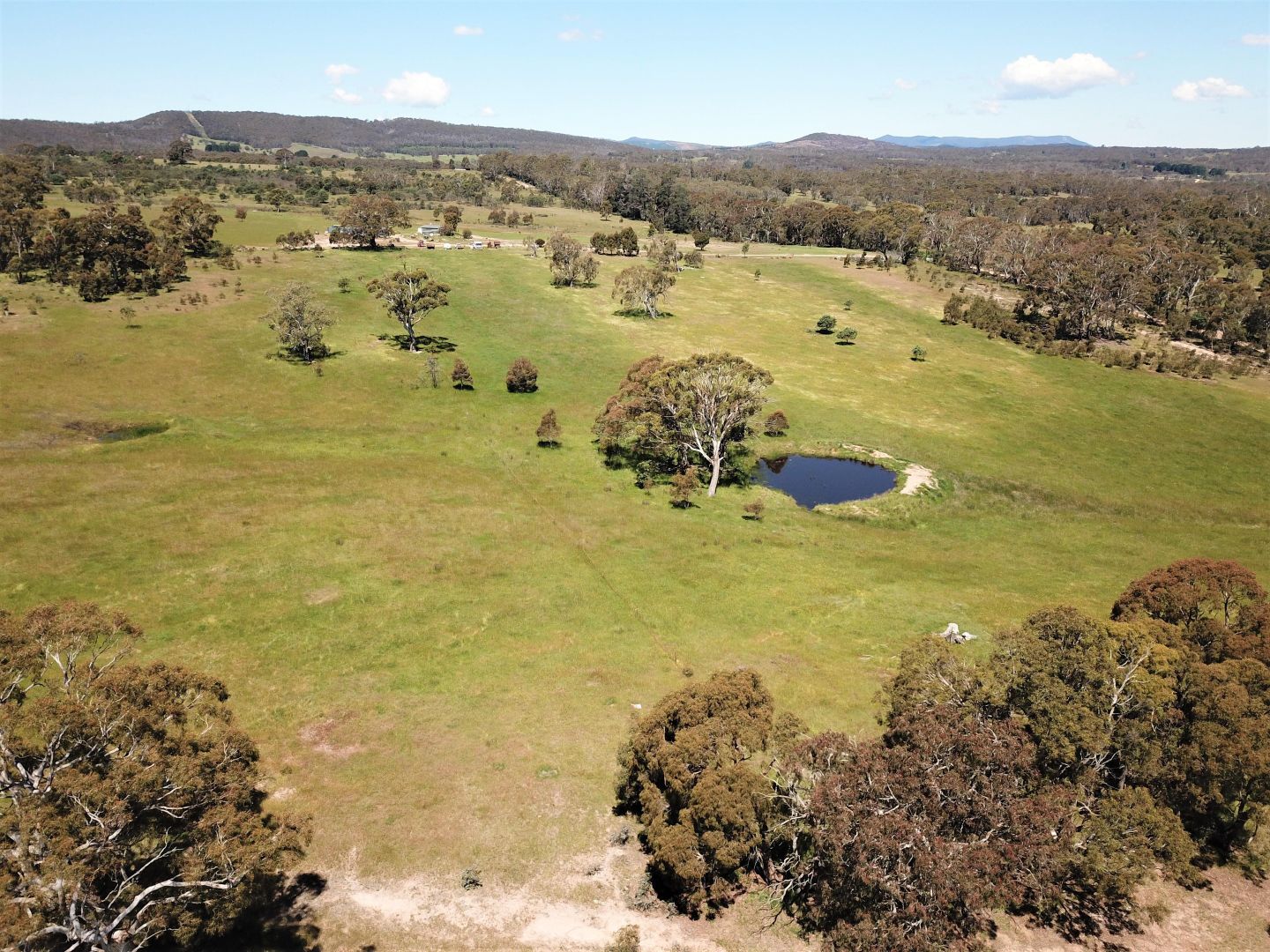 Lot 2 Rosemeath Road, Bombala NSW 2632, Image 1