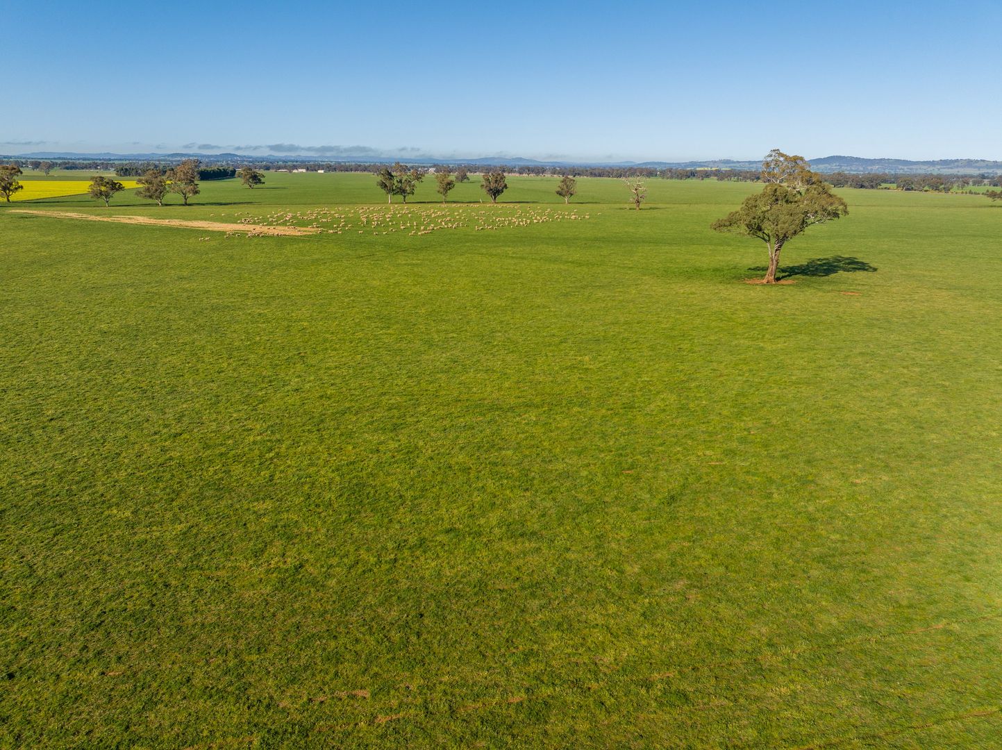 'Part Talavera' Marrar Road, Downside NSW 2650, Image 2