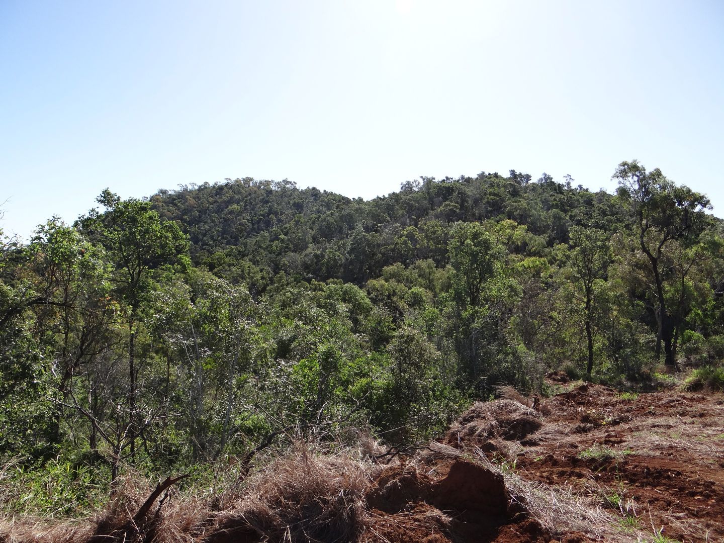 0 Dodd Lane, The Caves QLD 4702 Rural Lifestyle Property for Sale