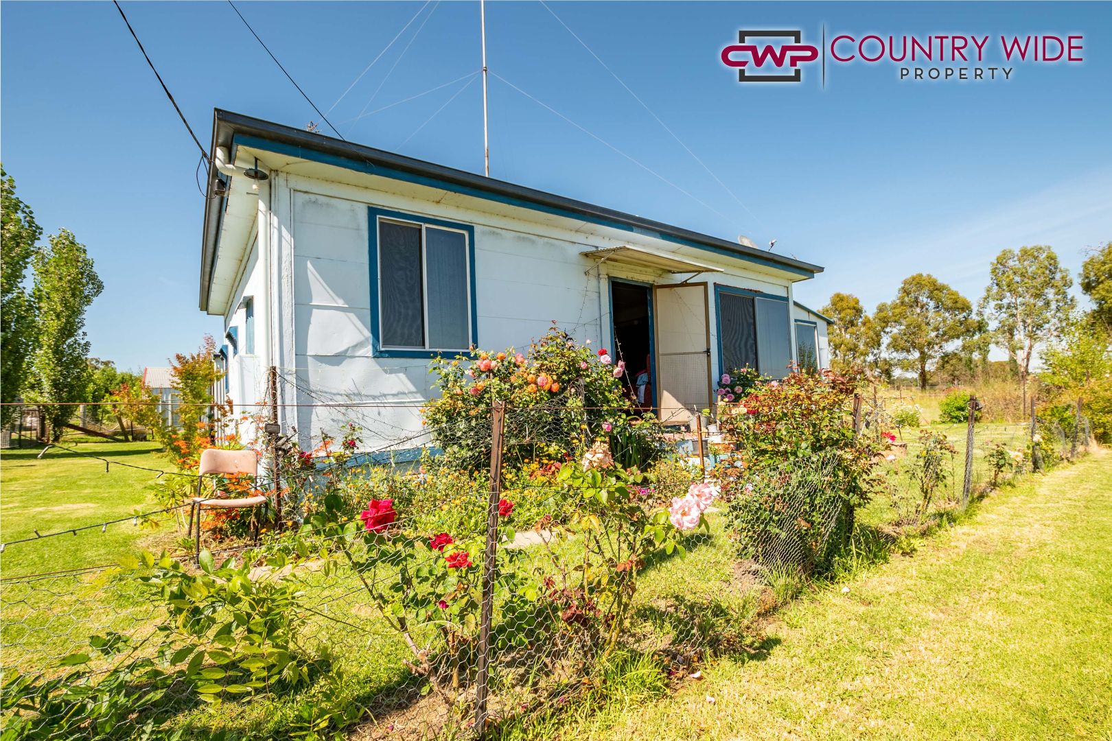 41 Alice Street, Deepwater NSW 2371, Image 1