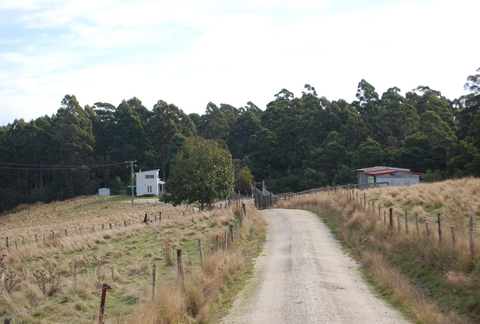 1538 Preolenna Road, Moorleah TAS 7325, Image 2