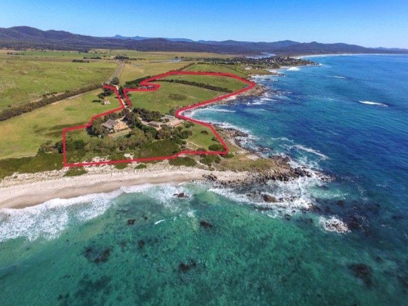 22352 Tasman Highway, Falmouth TAS 7215, Image 2