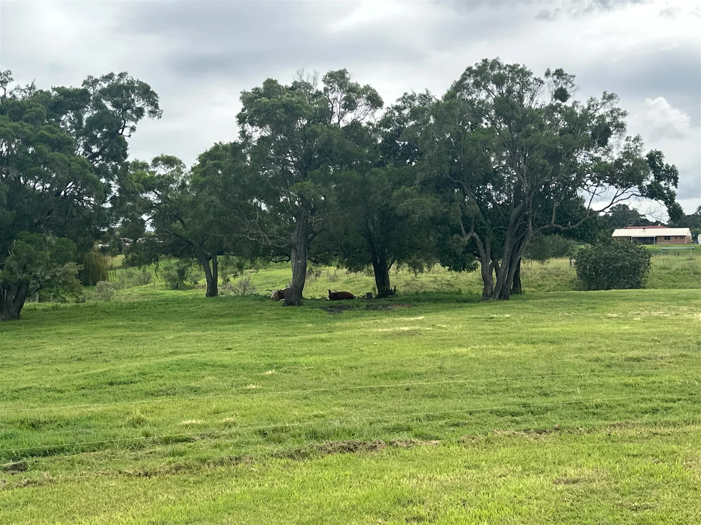 Additional image 9 of 43 Siratro Court, Veresdale QLD 4285