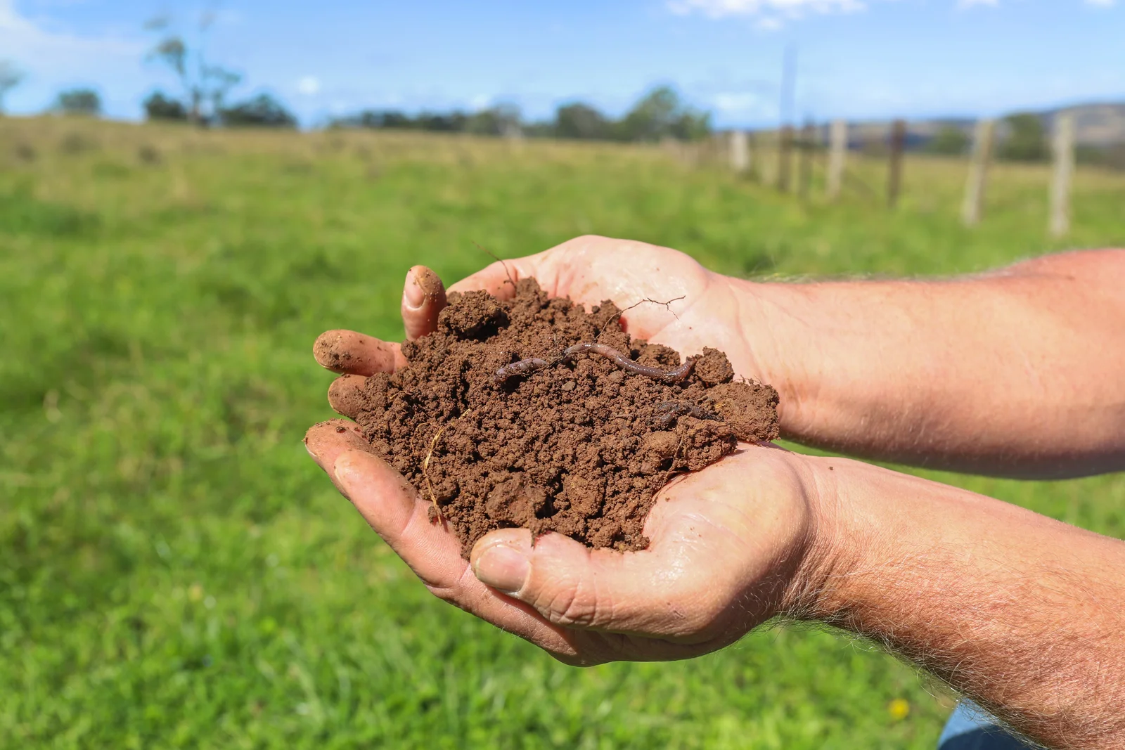 Additional image 18 of "Wyanga" 195 Gills Road, Uralla NSW 2358