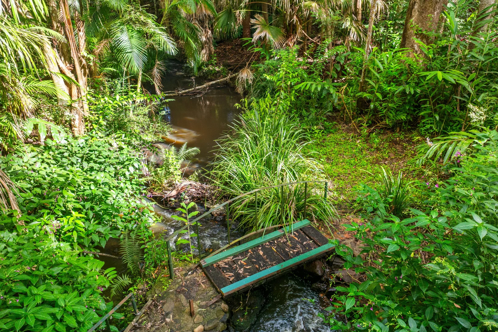 Additional image 9 of 56 Gumland Drive, Witta QLD 4552