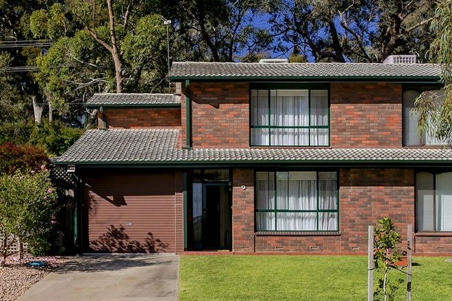 Picture of 9 Windarra Avenue, BURNSIDE SA 5066