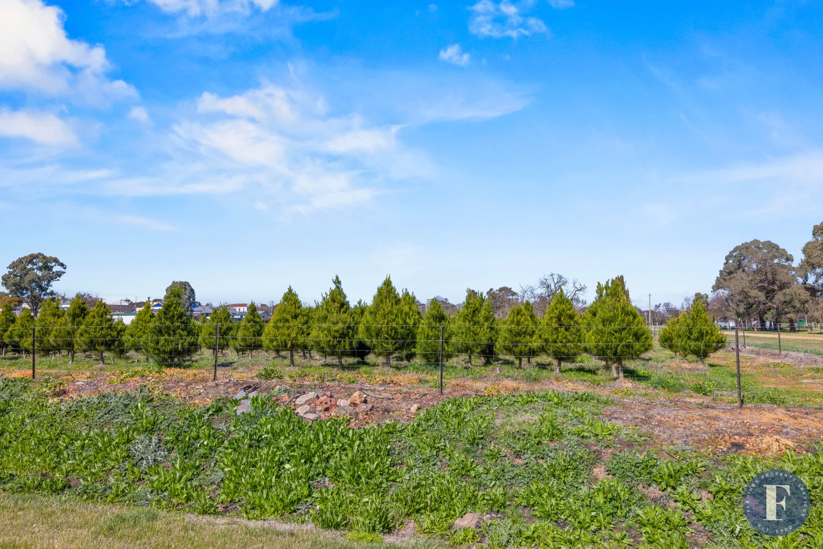 Additional image 5 of Lot 13/81 Campbell Street, Boorowa NSW 2586