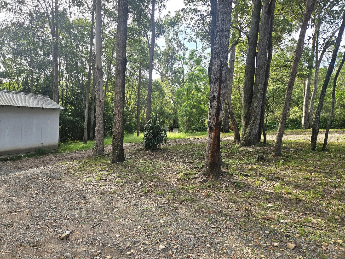 Additional image 19 of Willow Vale QLD 4209