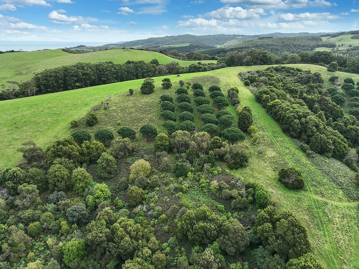 Additional image 17 of 110 Staffords Road, Johanna VIC 3238