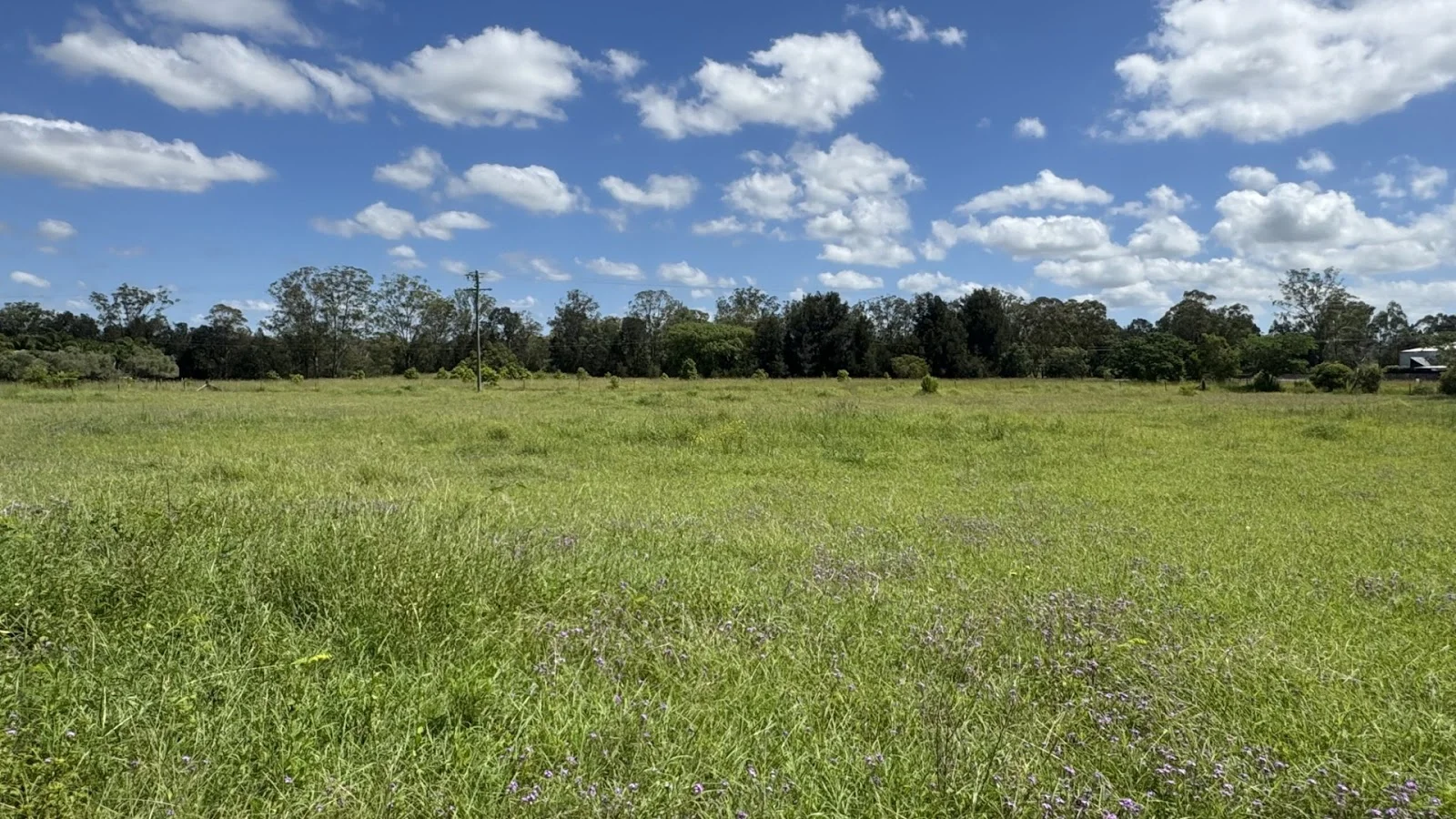 Image 25