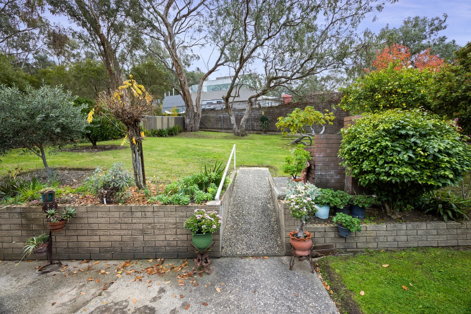 Image 19
