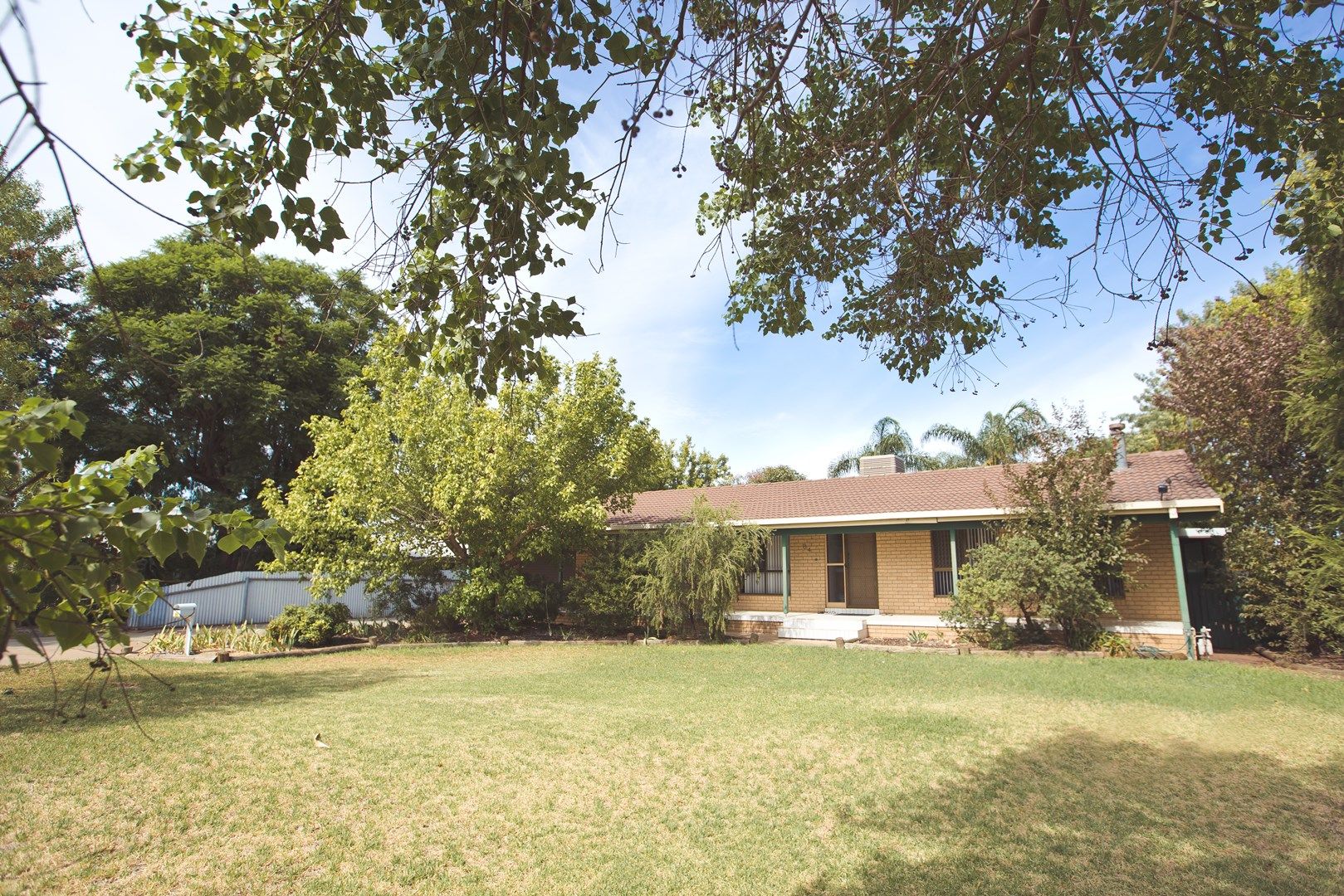 84 Erskine Road, Griffith NSW 2680, Image 0