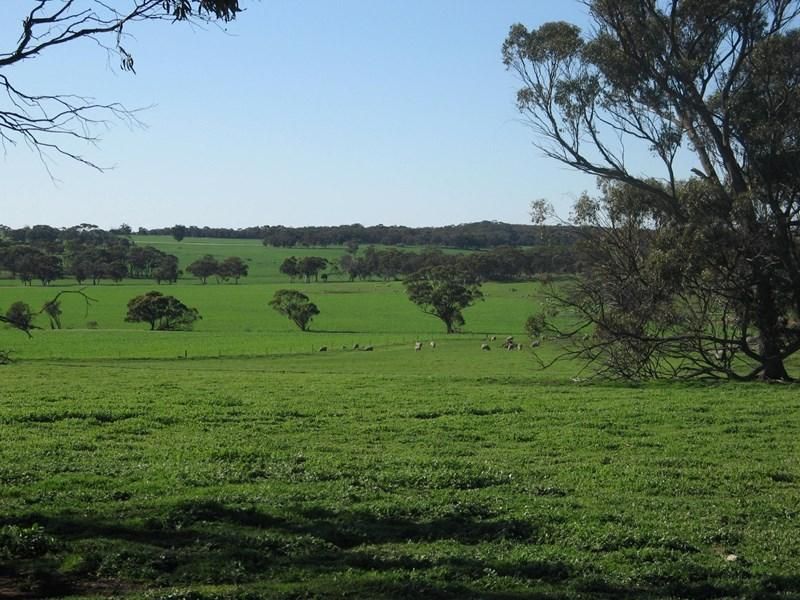 Nettadine & Jangering, English Road, Pingelly WA 6308, Image 0