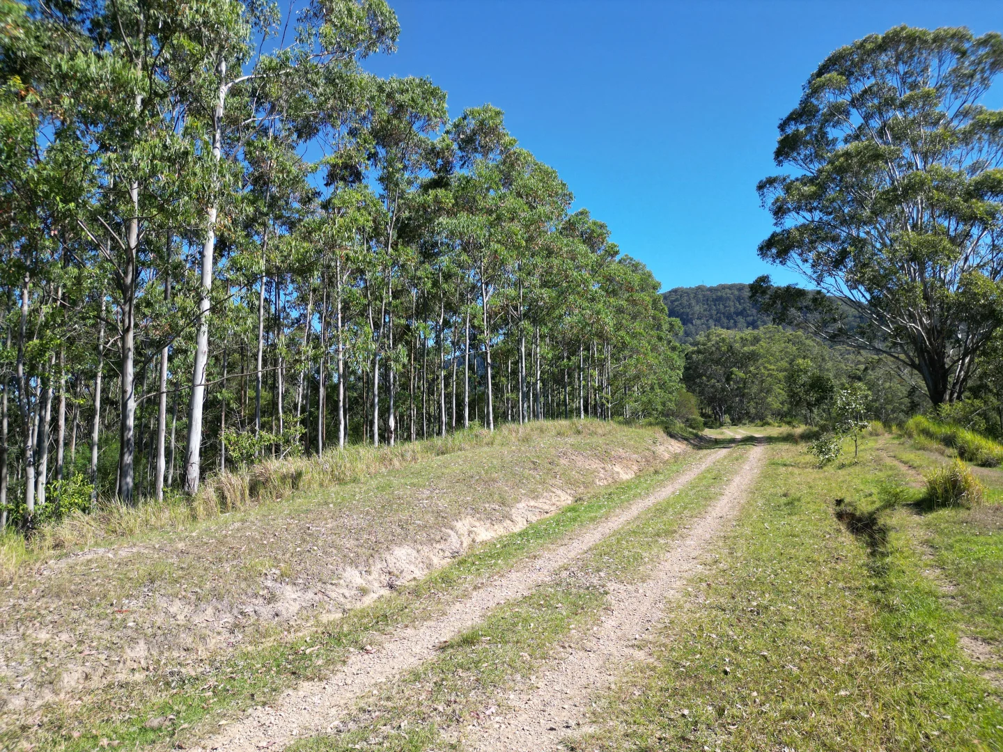 Additional image 11 of Lot 40 Joes Box Road, Yabbra NSW 2469