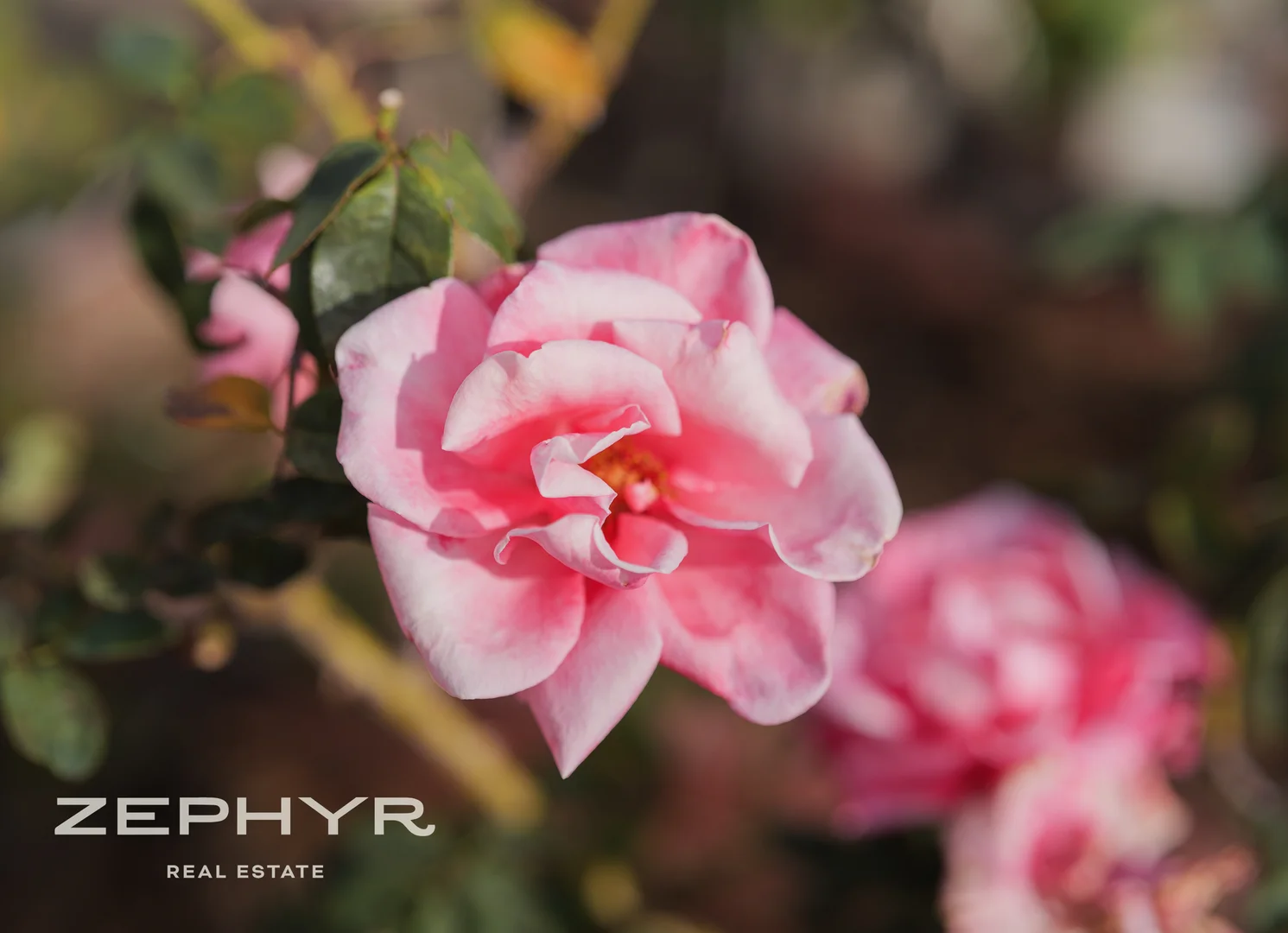 Additional image 47 of 145 Stirling Street, East Bunbury WA 6230