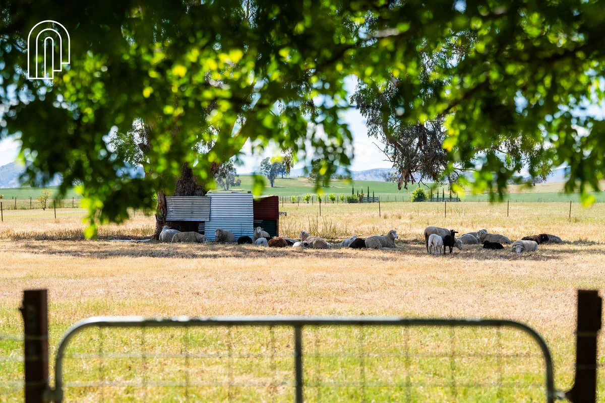 Additional image 30 of 276 Kiley Road, Table Top NSW 2640