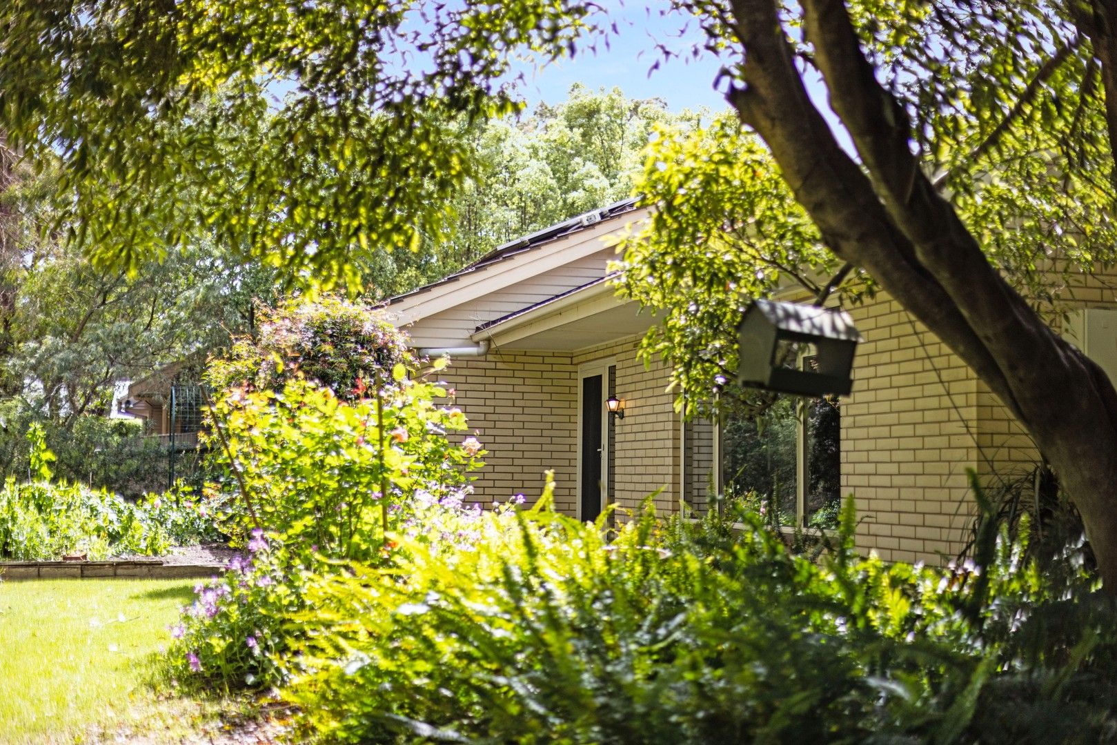 3 bedrooms House in 78 Arkaba Road ALDGATE SA, 5154