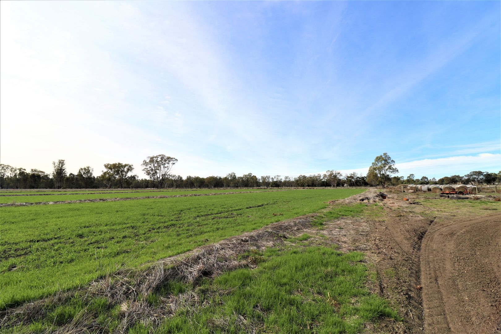 View Street, Koondrook VIC 3580, Image 1