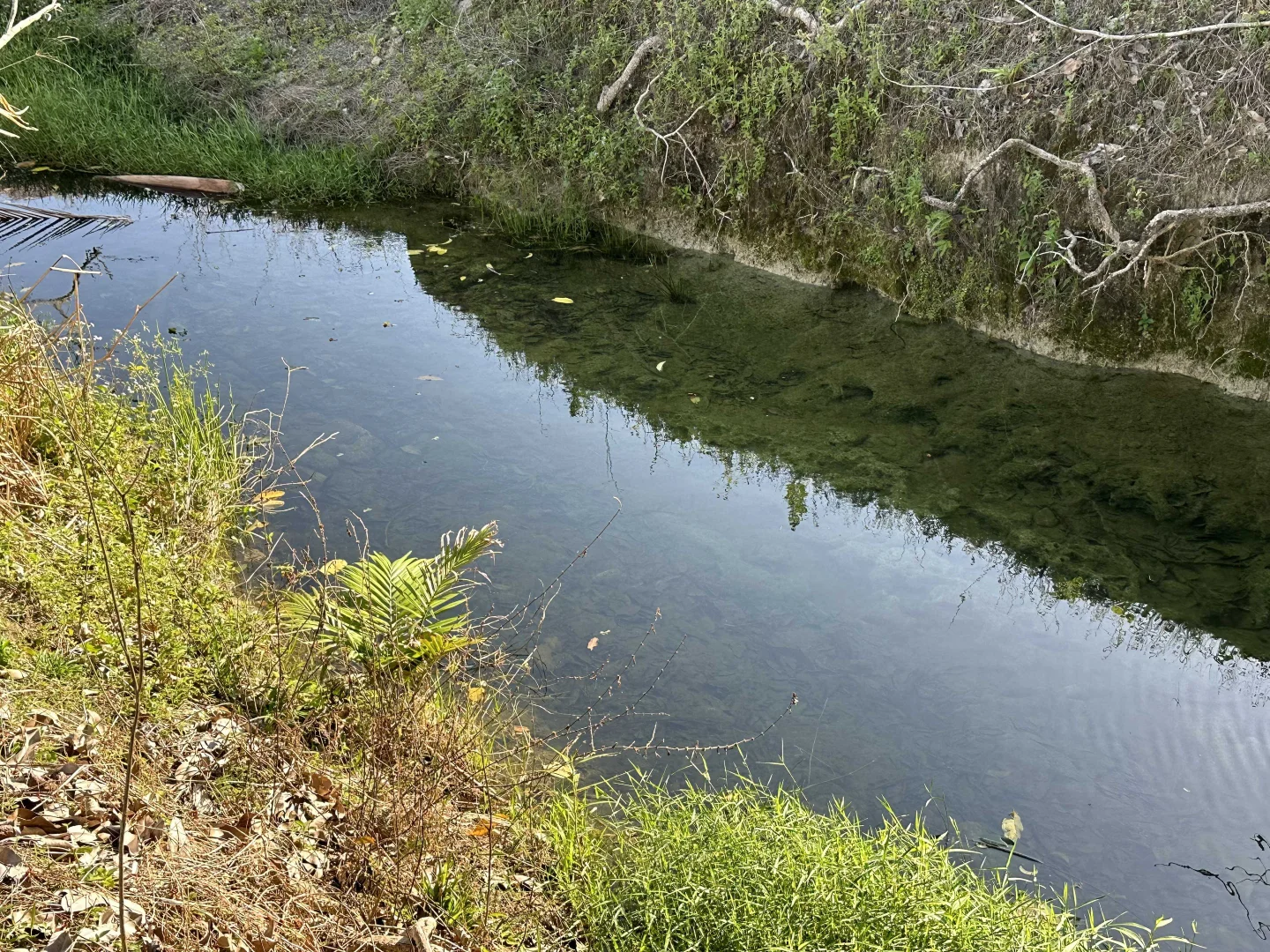 Image 12