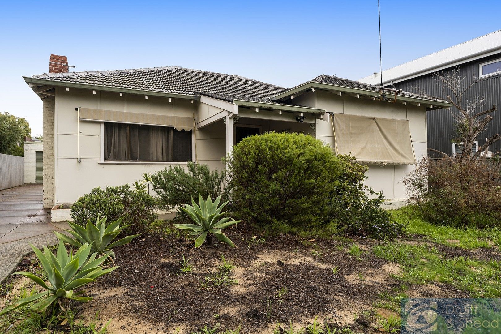 207 Hancock Street, Doubleview WA 6018, Image 0