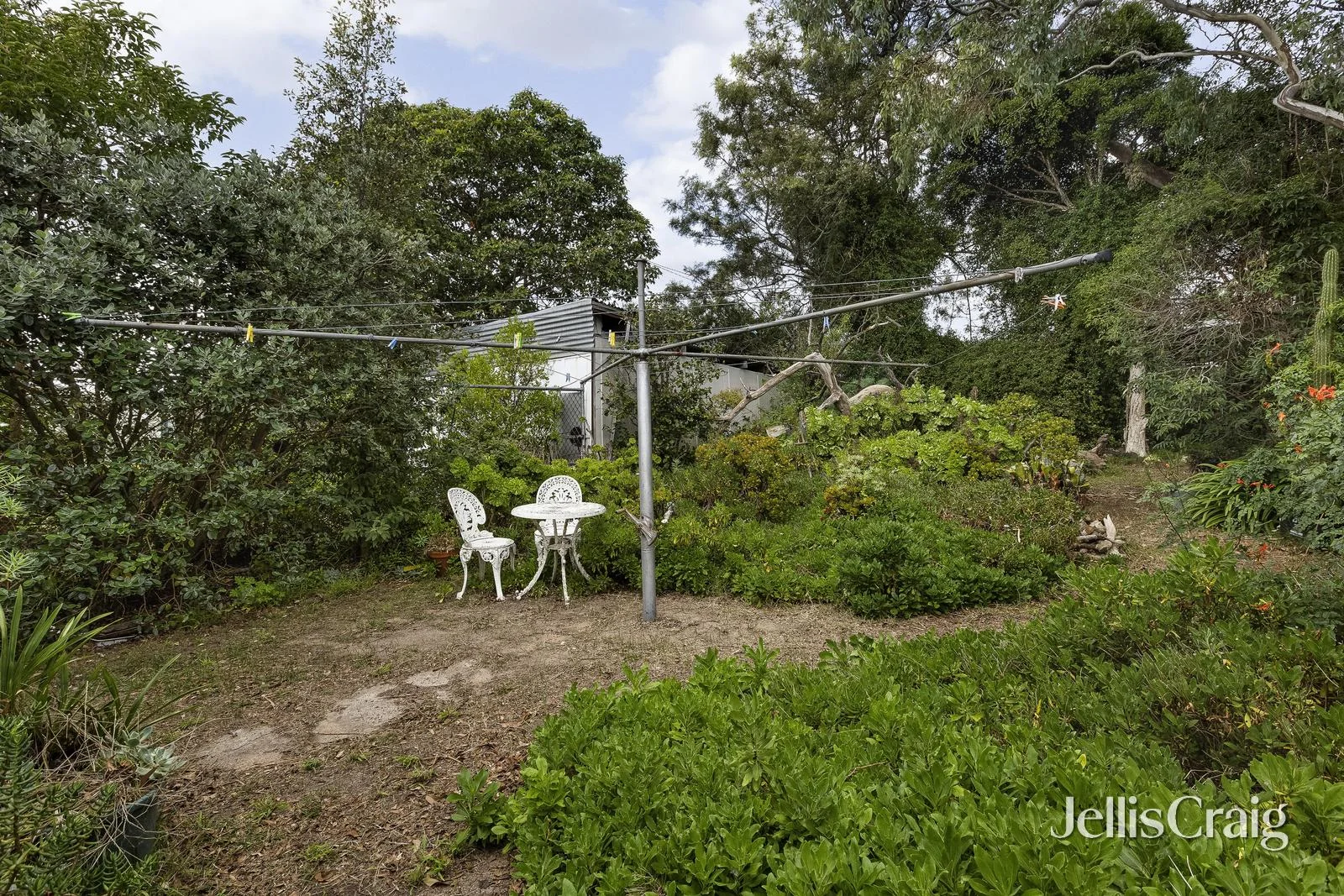 Image 10