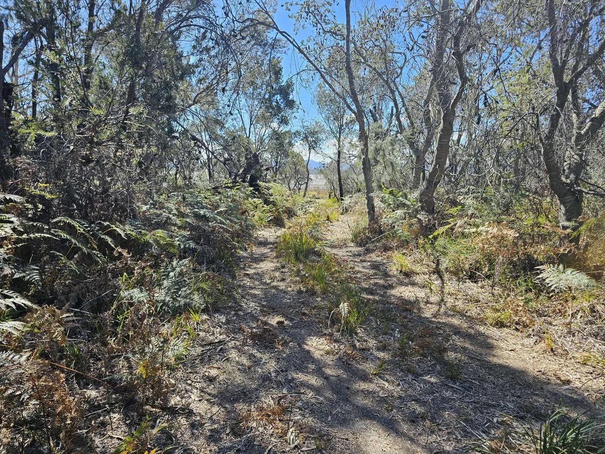 Image 19