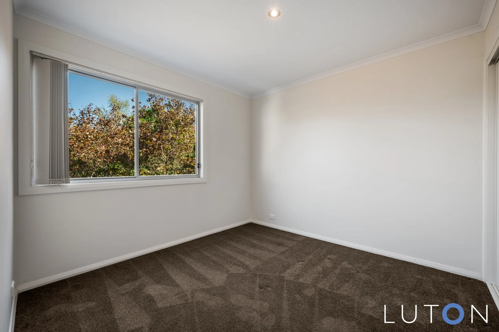 Additional image 16 of 6/71 Torrens Street, Braddon ACT 2612