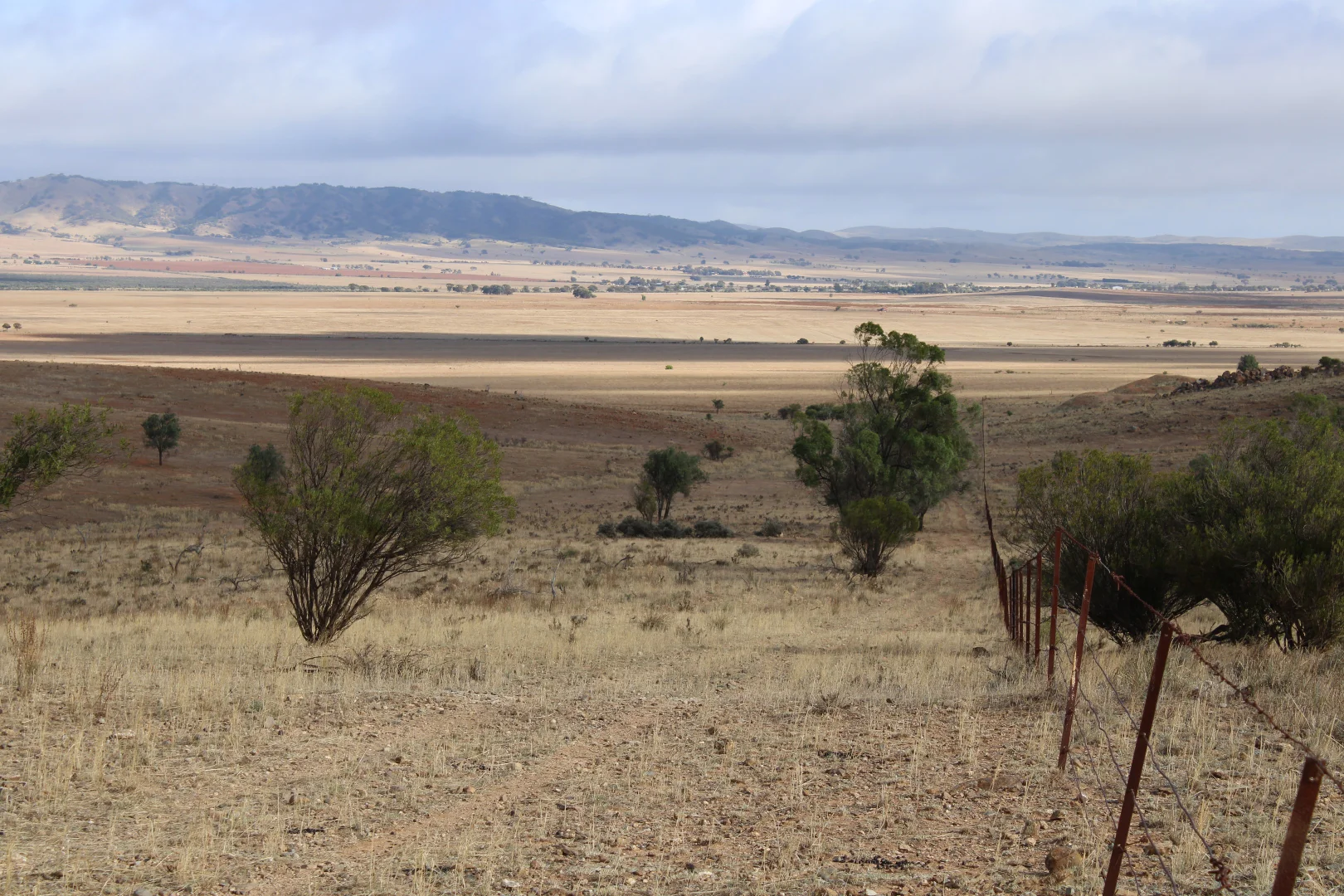 Image 11