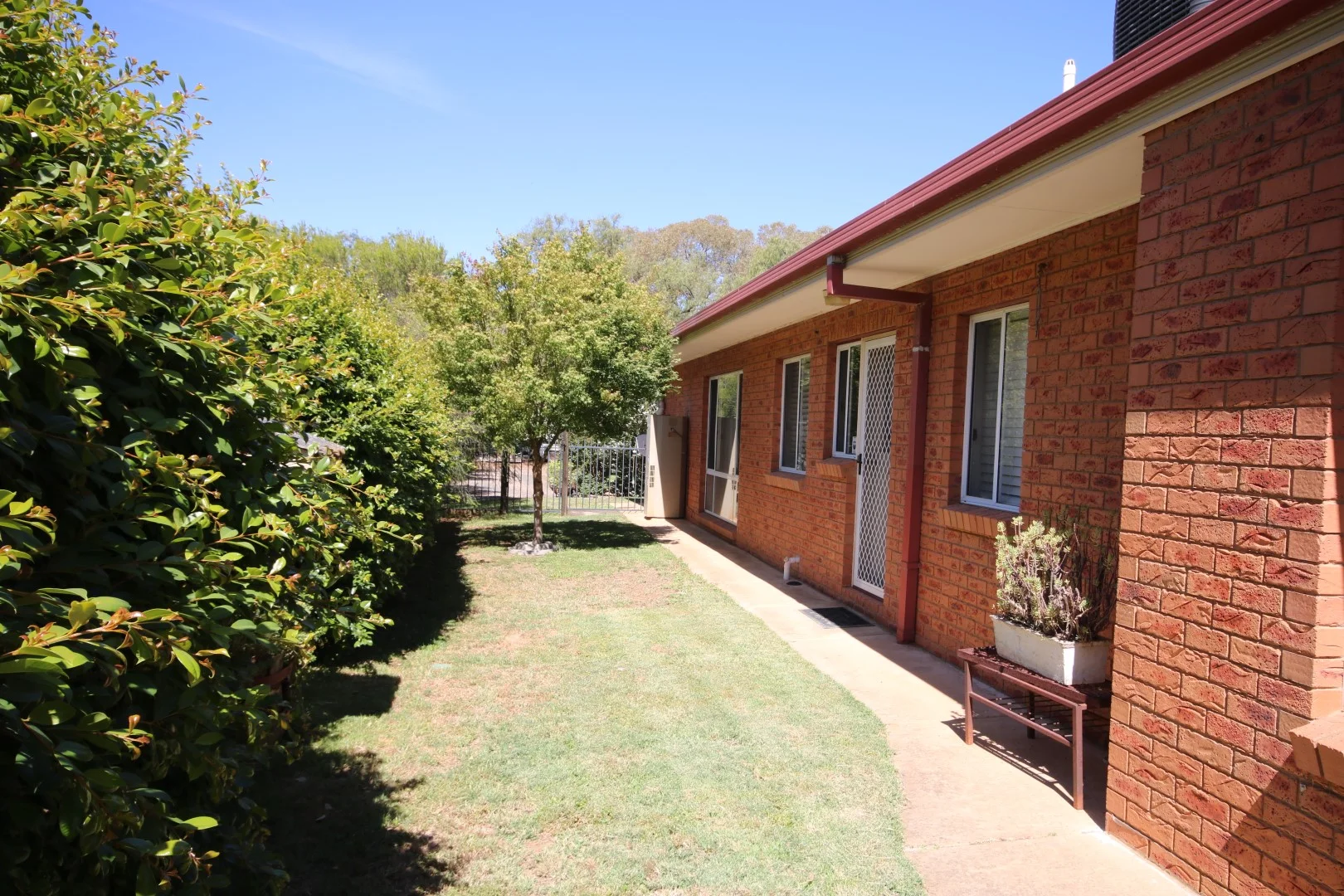 Image 21