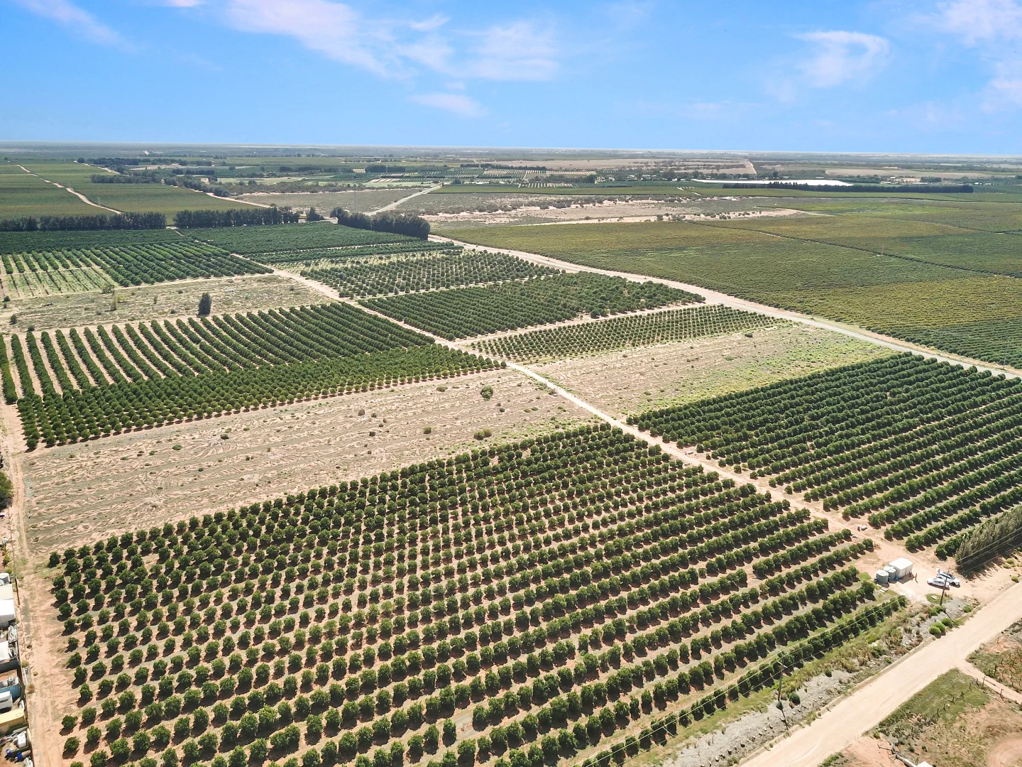 Additional image 5 of Lot 80 Foster Road, Sunlands SA 5322