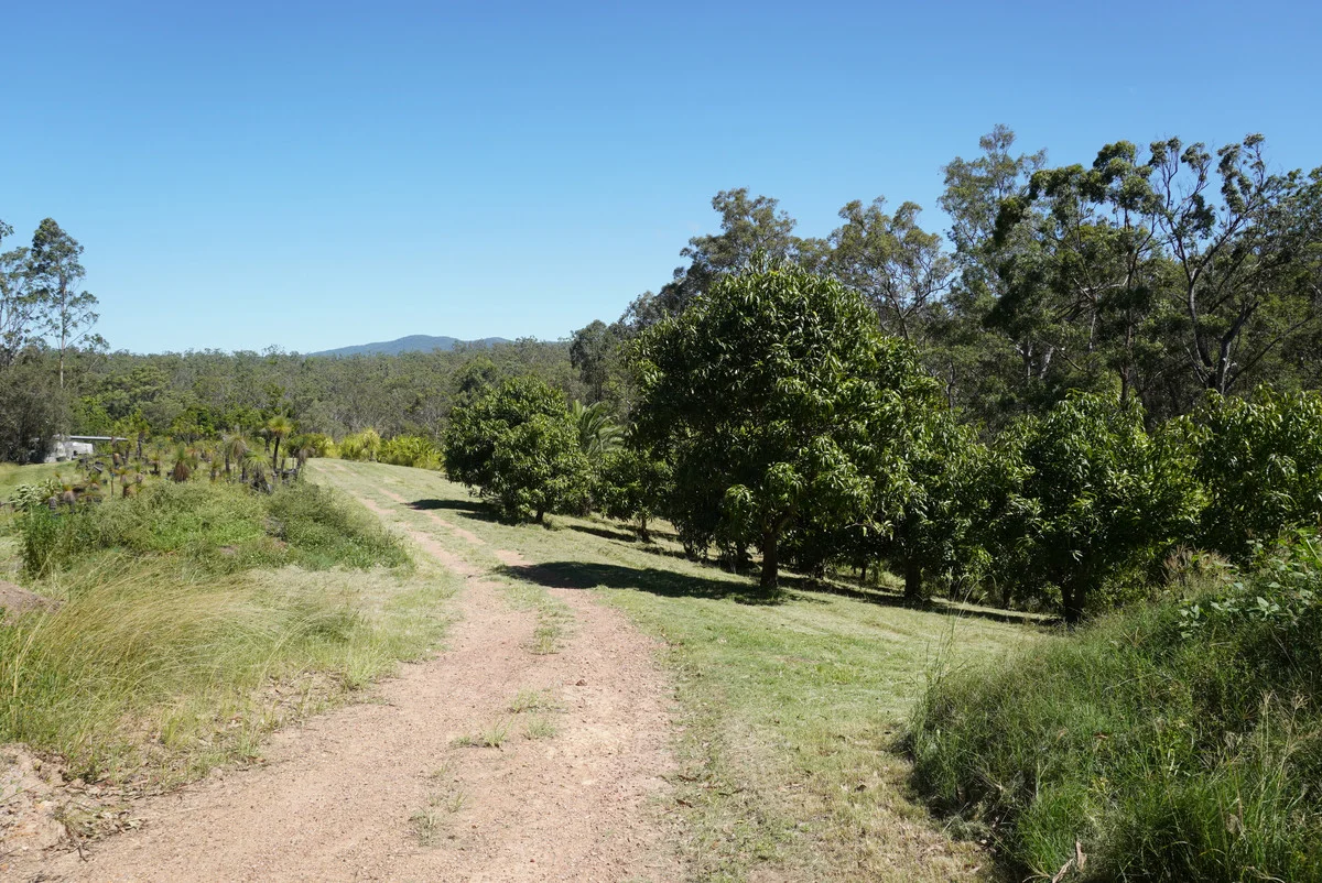 Image 39