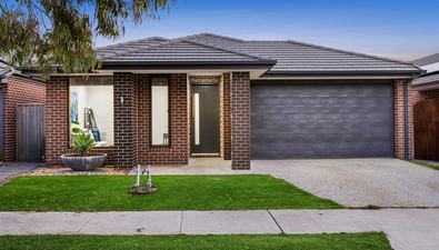 Picture of 14 Swallowtail Avenue, CLYDE NORTH VIC 3978