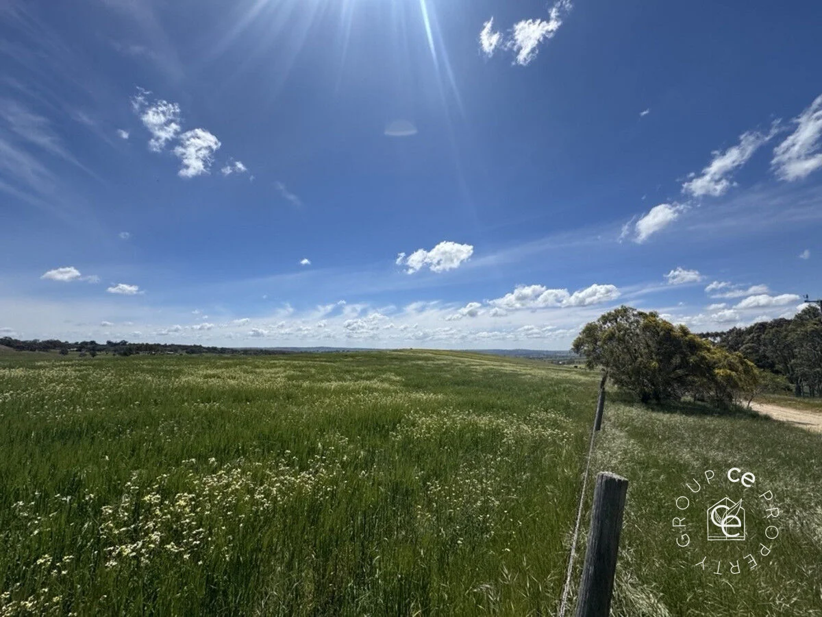 Image 16