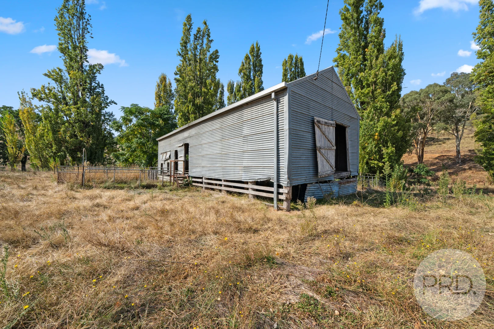 Image 14