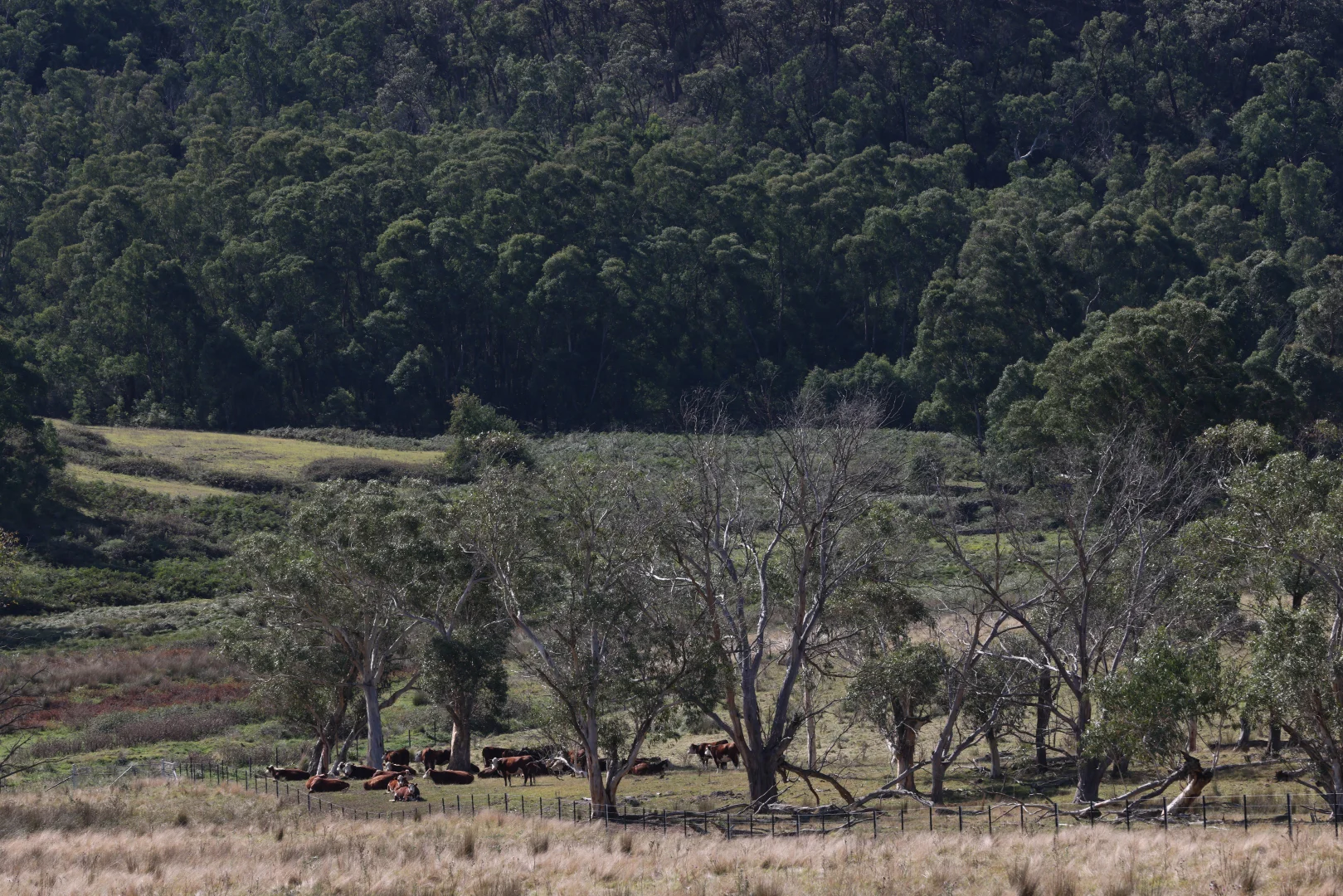 Image 12