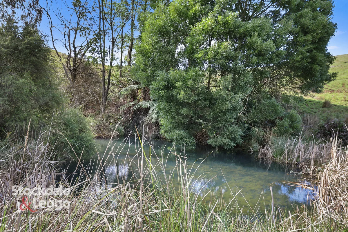 Image 21