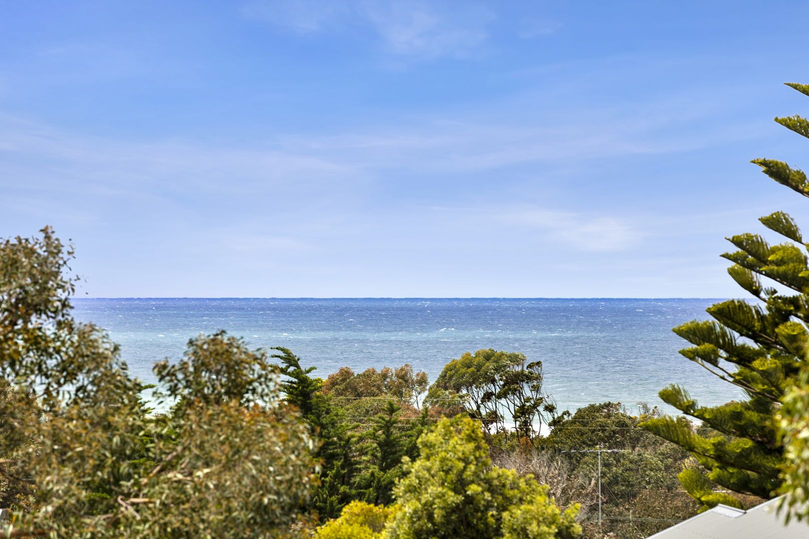 52 Fifth Avenue, Anglesea VIC 3230, Image 1