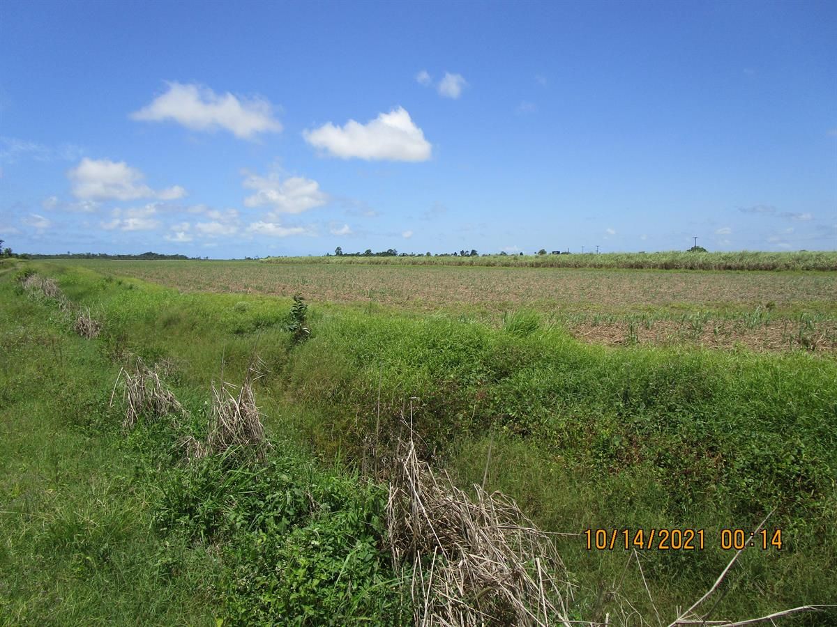 Lot 14 Bruce Highway, Mourilyan QLD 4858, Image 2