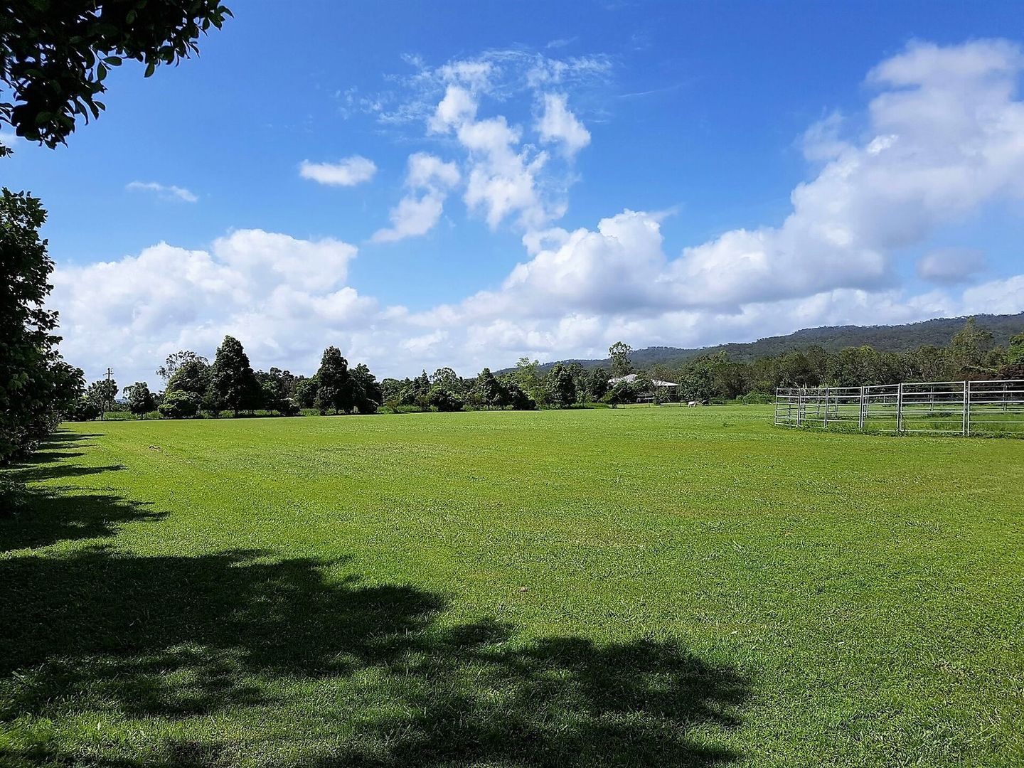 Kuranda QLD 4881, Image 1